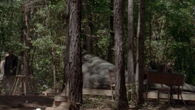 twd905_1660.jpg