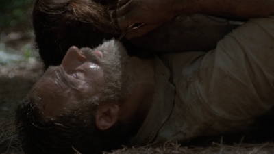 twd905_1664.jpg