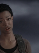 twd905_1490.jpg