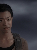 twd905_1496.jpg