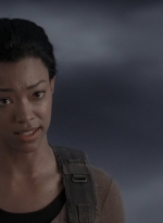 twd905_1497.jpg