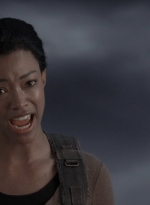 twd905_1499.jpg