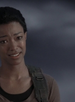 twd905_1513.jpg