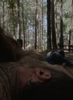 twd905_1651.jpg