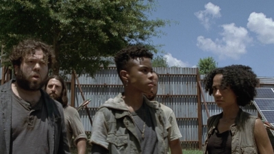 twd906_0545.jpg