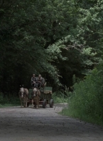 twd906_2212.jpg