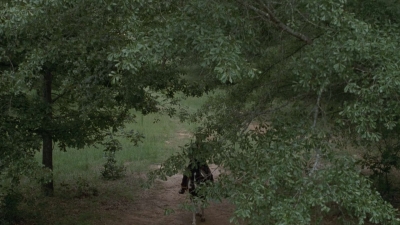 twd907_0738.jpg