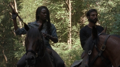 twd907_2008.jpg