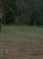 twd907_0650.jpg