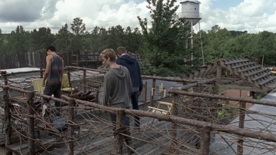 twd908_1108.jpg