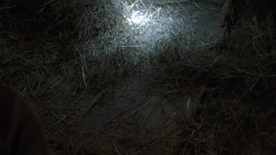 twd908_1328.jpg