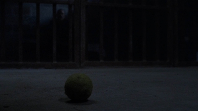 twd908_1664.jpg