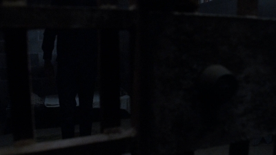 twd908_1694.jpg