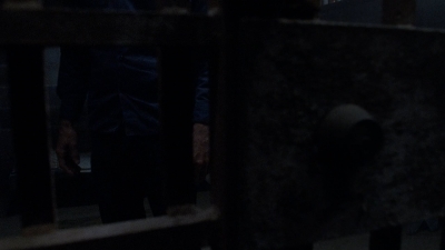 twd908_1701.jpg