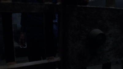 twd908_1705.jpg