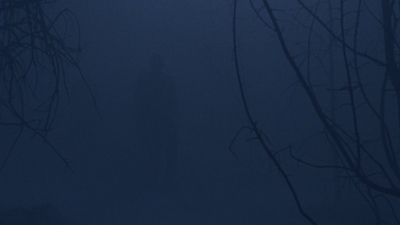 twd908_2022.jpg