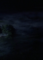 twd908_1268.jpg