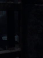 twd908_1659.jpg