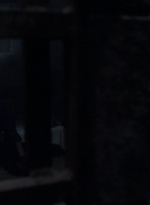 twd908_1661.jpg