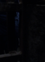 twd908_1704.jpg