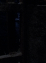 twd908_1705.jpg
