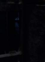 twd908_1706.jpg