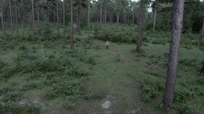 twd909_0639.jpg