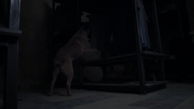 twd909_1036.jpg