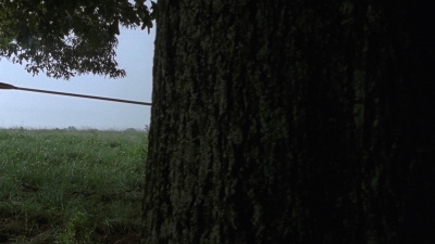twd909_1109.jpg