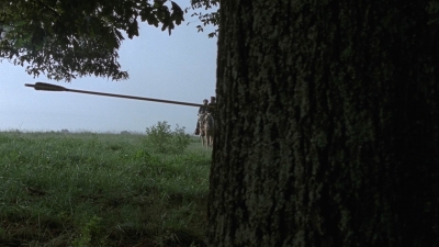 twd909_1110.jpg