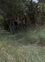 twd909_0434.jpg