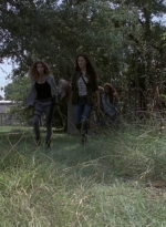 twd909_0435.jpg