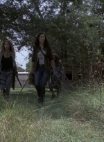 twd909_0436.jpg