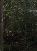 twd909_0541.jpg