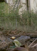 twd909_0735.jpg