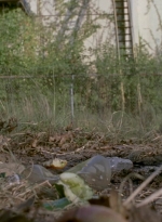 twd909_0736.jpg