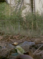 twd909_0737.jpg