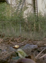 twd909_0738.jpg