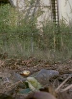 twd909_0739.jpg