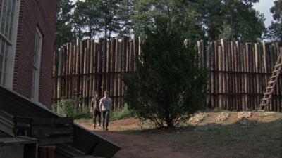 twd910_0624.jpg