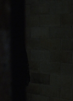 twd912_1287.jpg