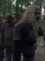 twd912_1594.jpg