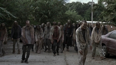 twd913_1589.jpg