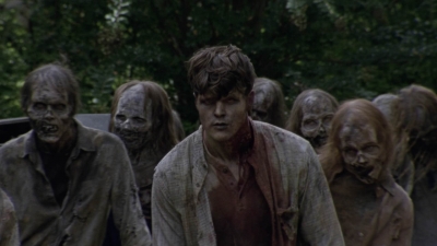 twd913_1600.jpg