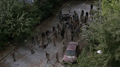 twd913_1607.jpg