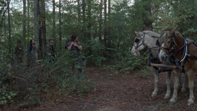 twd914_2457.jpg