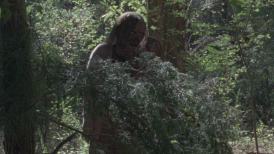 twd914_2486.jpg