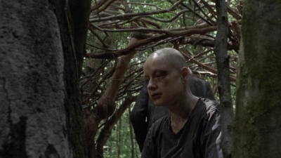 twd1002_0749.jpg
