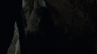 twd1002_0858.jpg