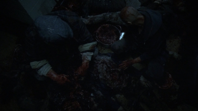 twd1002_1205.jpg